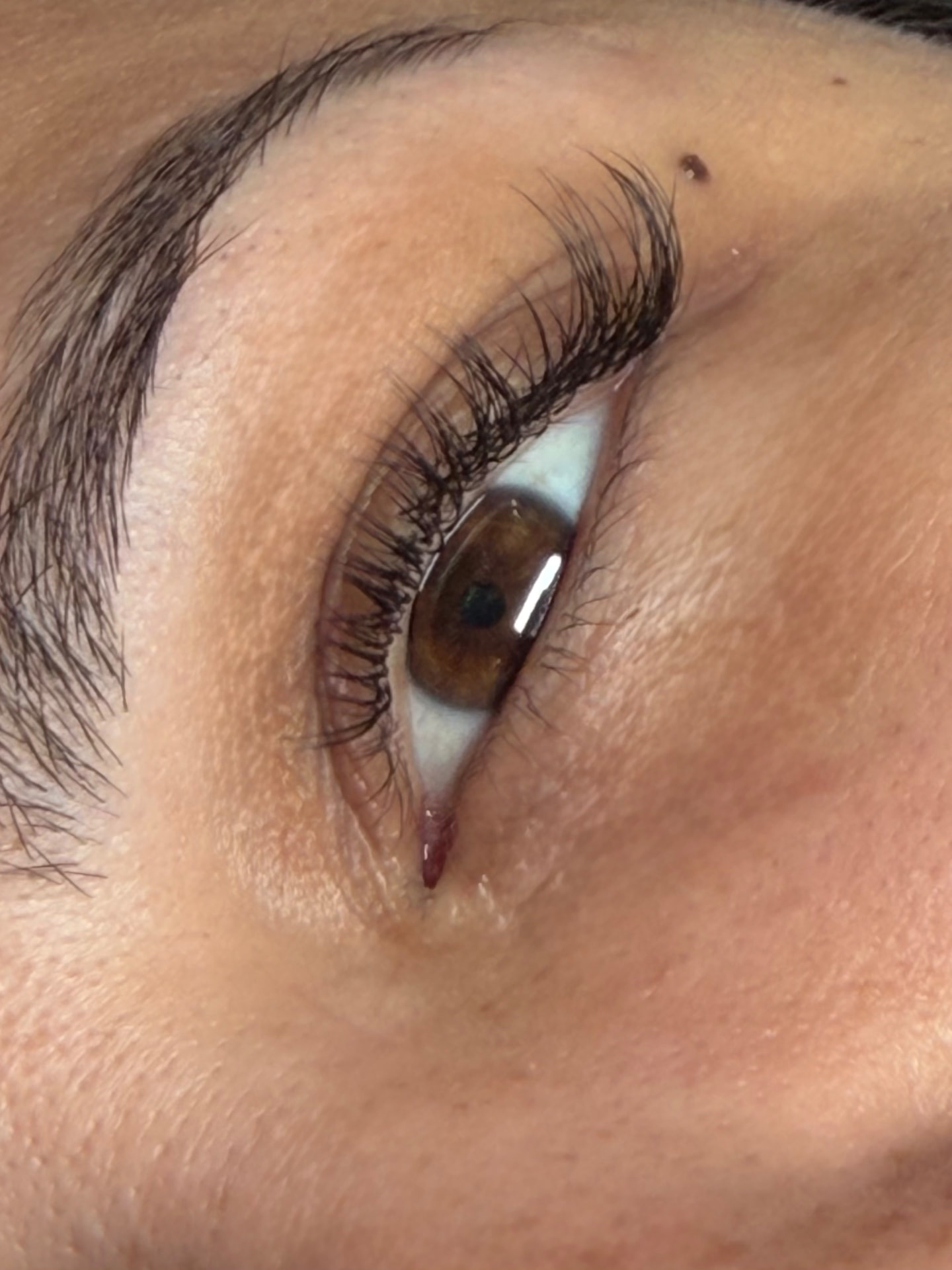 Mahogany client with natural, refined classic lash extensions
